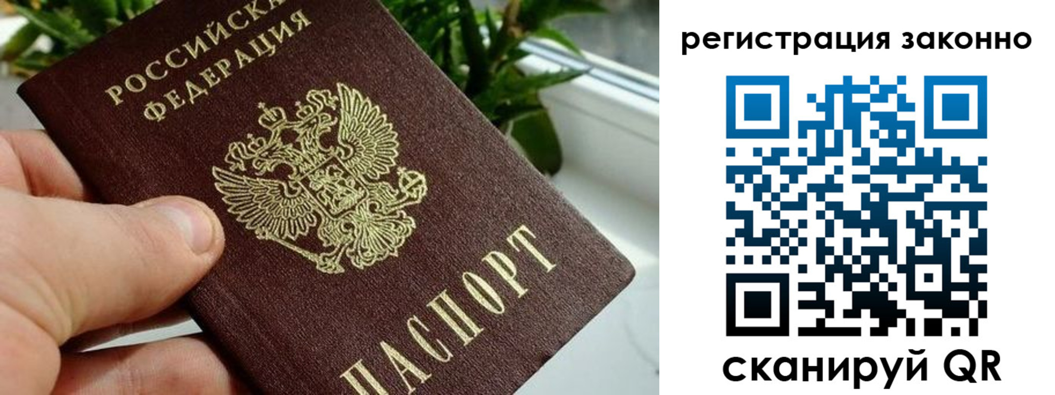 прописка гарантия в Мценске